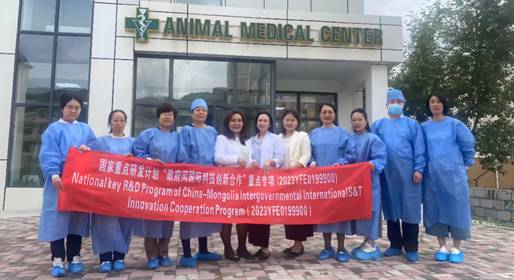 微信图片_20240802233124= (1) 微信图片_20240802233124= (1)