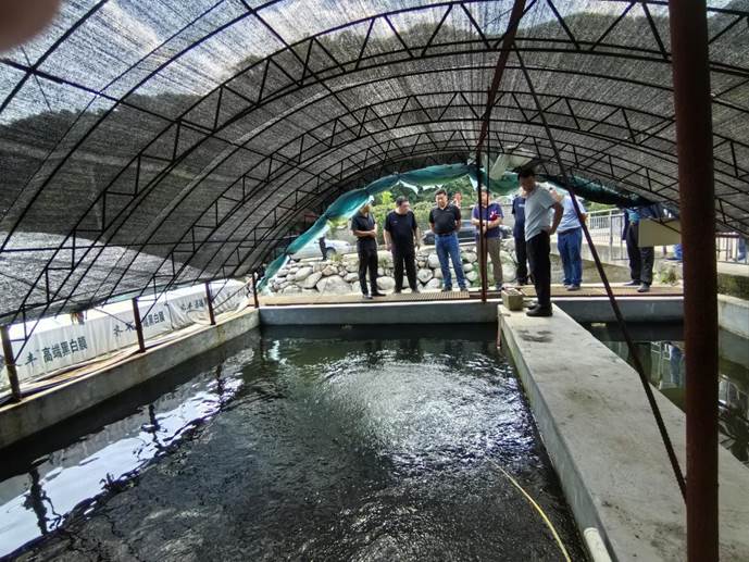 804d1afa22bd1517e58e27f5e424eb6 804d1afa22bd1517e58e27f5e424eb6